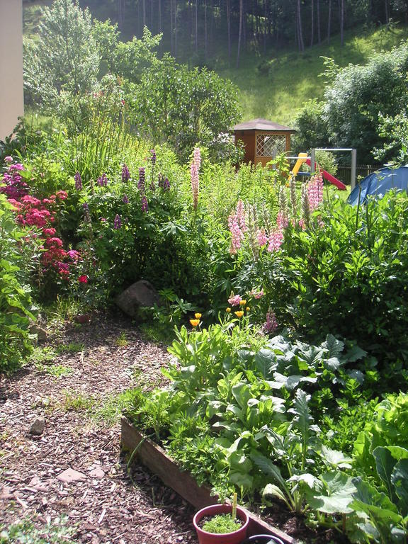 Natur-Aktiv-Hof Thiem Pottenstein Zimmer foto